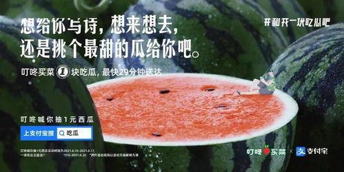 免费吃瓜文案怎么写,揭秘娱乐圈幕后故事