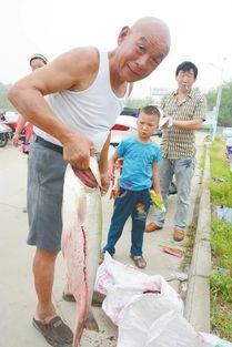 汝州爆料新闻,揭秘当地民生热点事件背后的真相